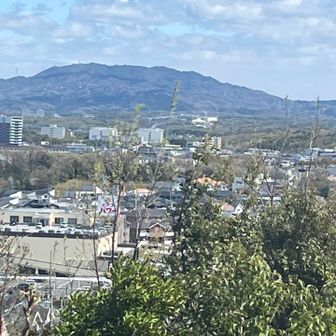 🎡が見えるけど