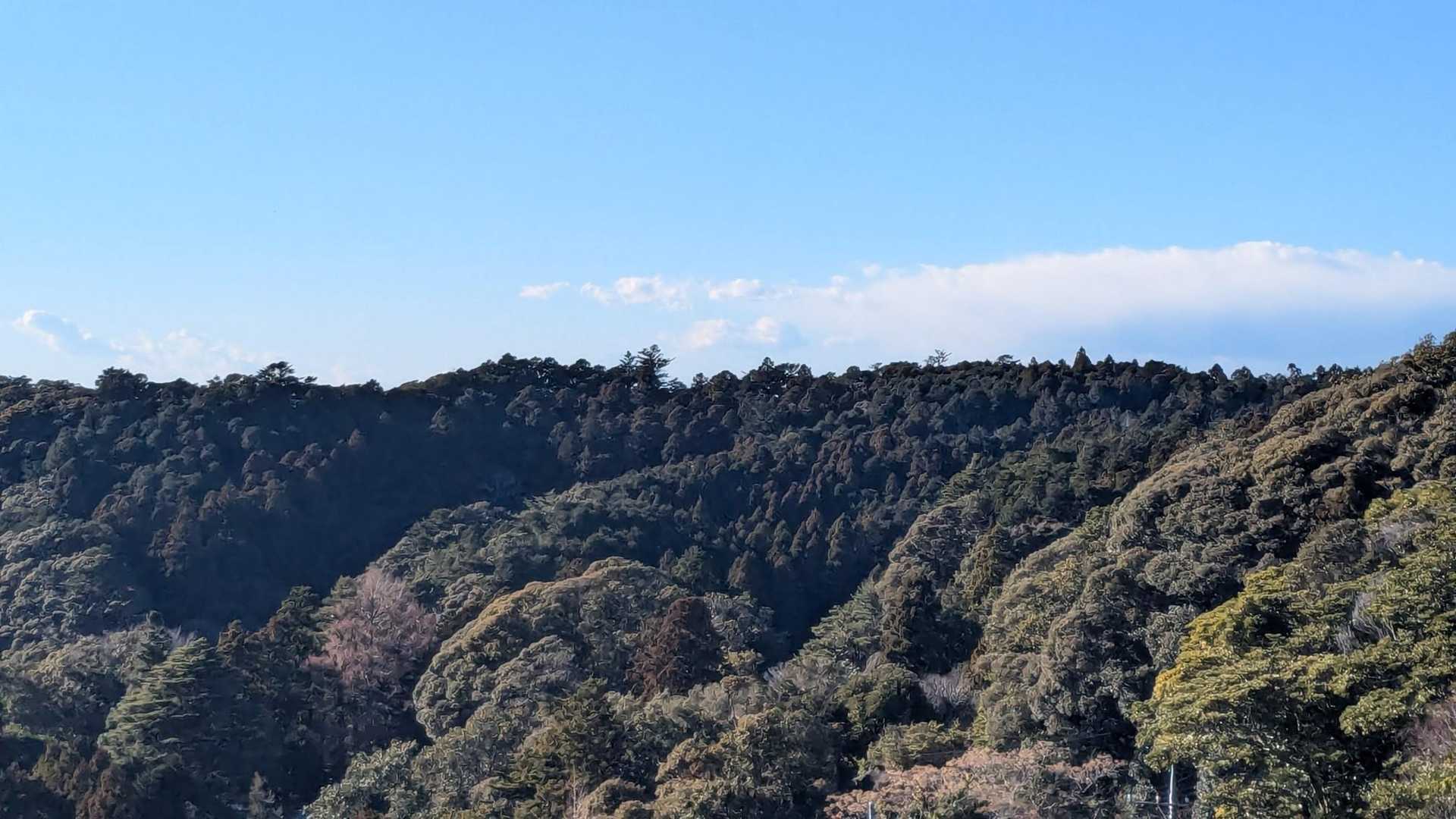 でも、お富士さん🗻見えまへんでした😥