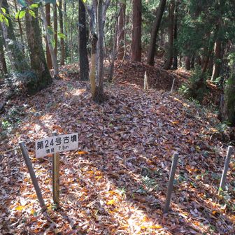 途中に在った古墳