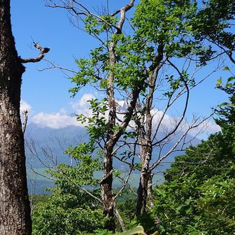 ところどころ、振り返ると富士山🗻
