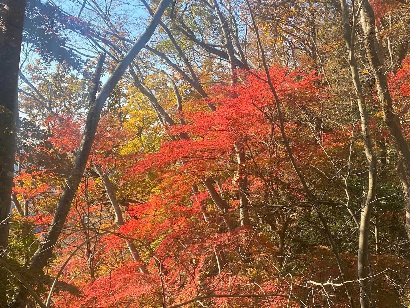 立神山-生瀬滝上-男体山・月居山登山口 縦走コースの写真