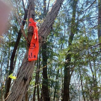 茶臼山頂上　頂上は展望なし。