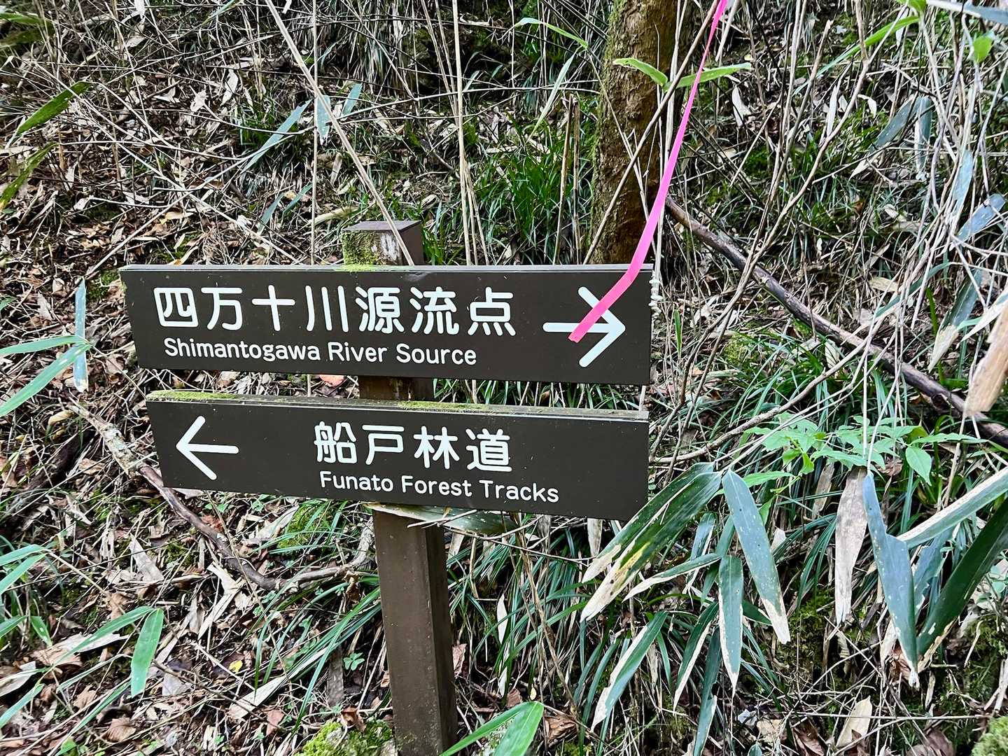 この表示🪧の意味がわからず…