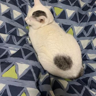 しおりり
