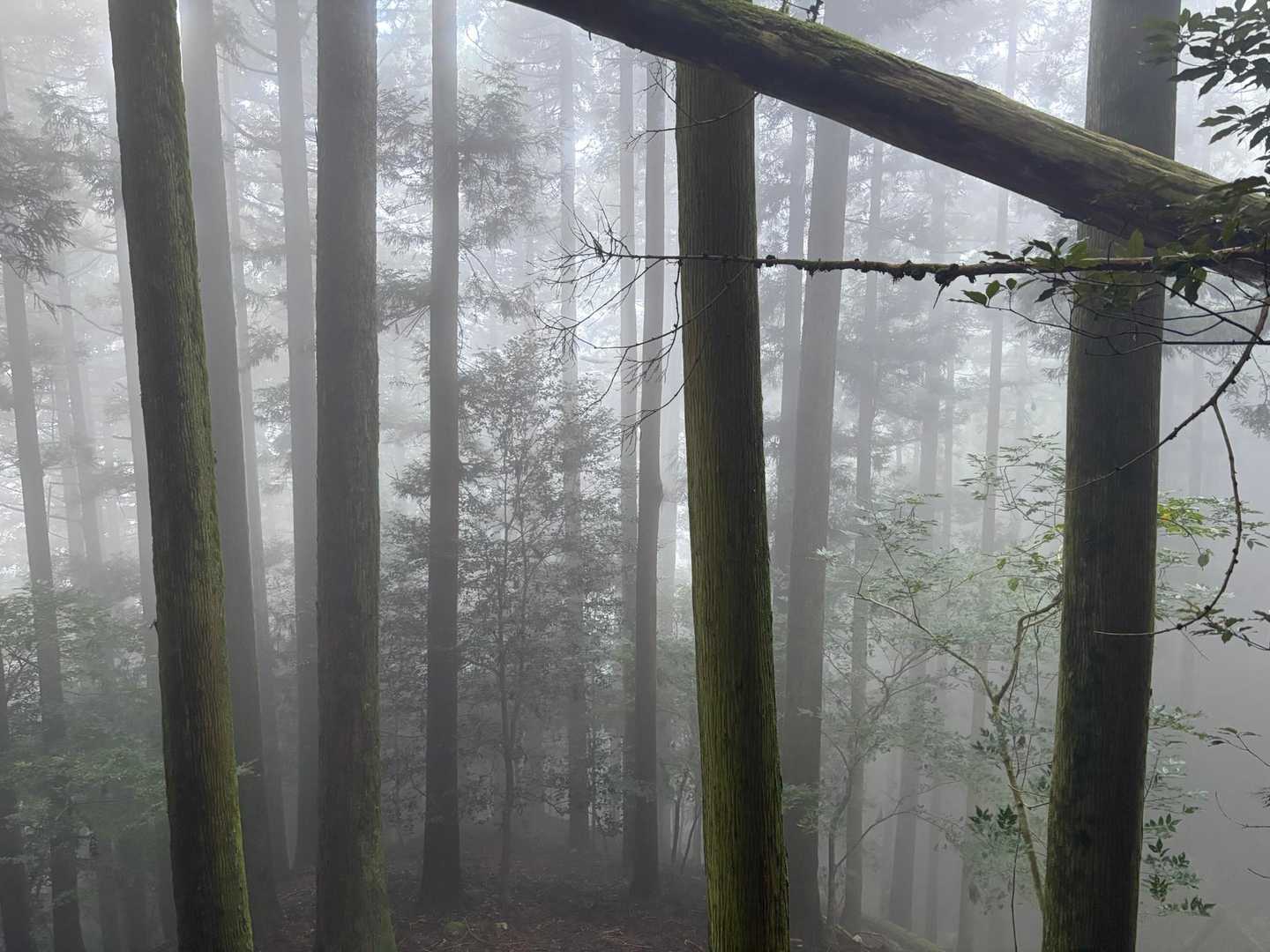 この辺からガスが😅
風が吹いてきた〜🎐