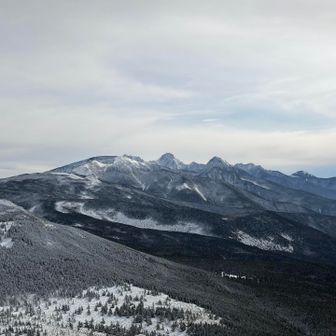 寒いので退散。