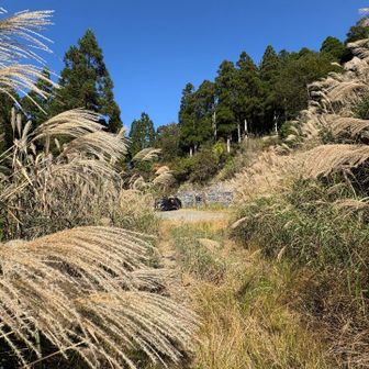 両サイドススキ🌾をよけながら🅿️へ
お疲れ山でした⛰️