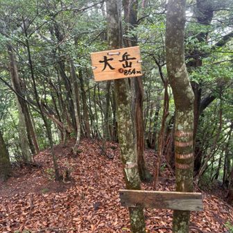 登頂！