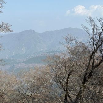向坂山と黒岩山