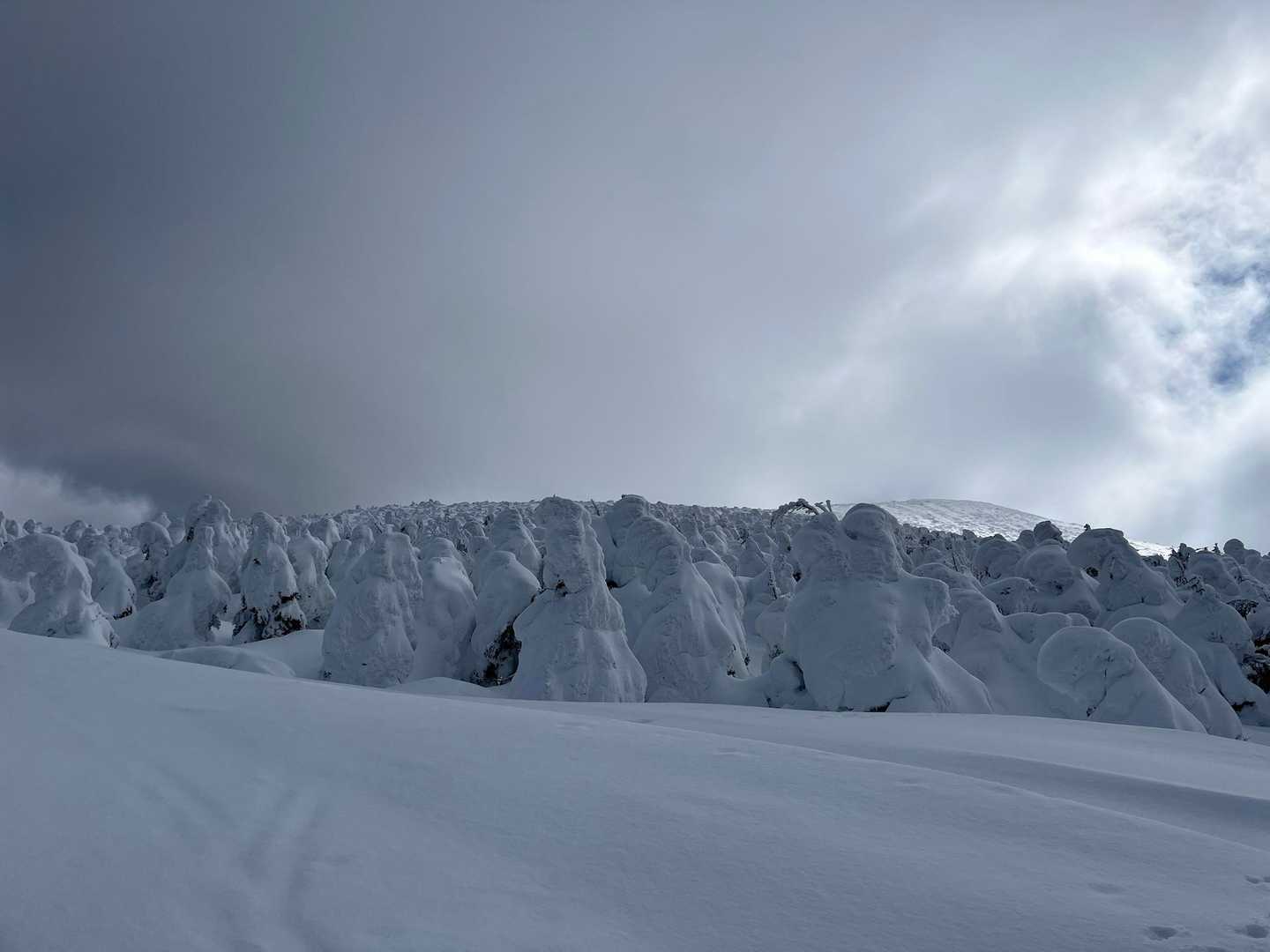 横向登山口 往復コースの写真
