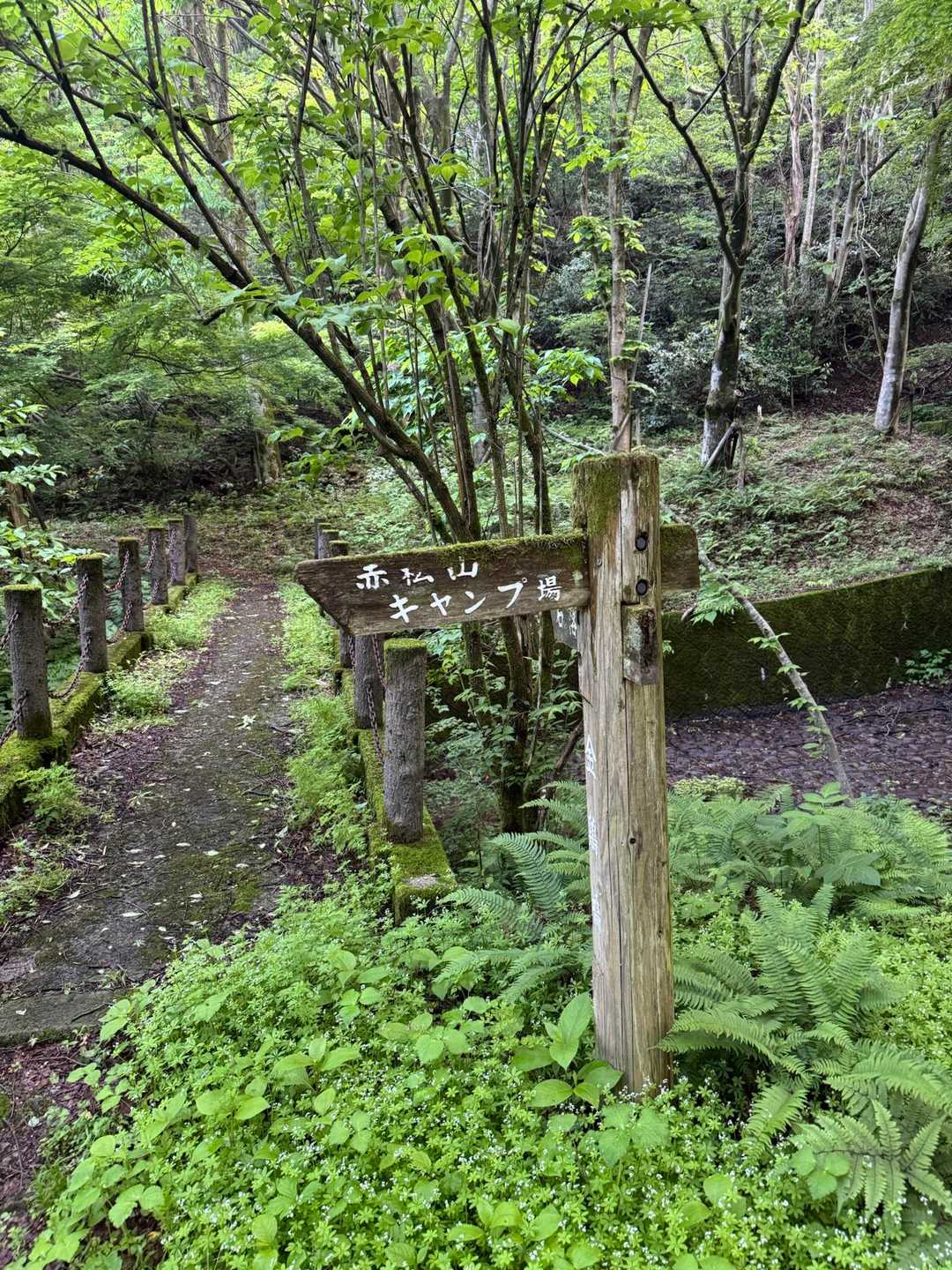 虚空蔵山 往復コースの写真