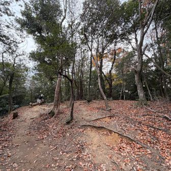 箕面山頂広場…眺望無し