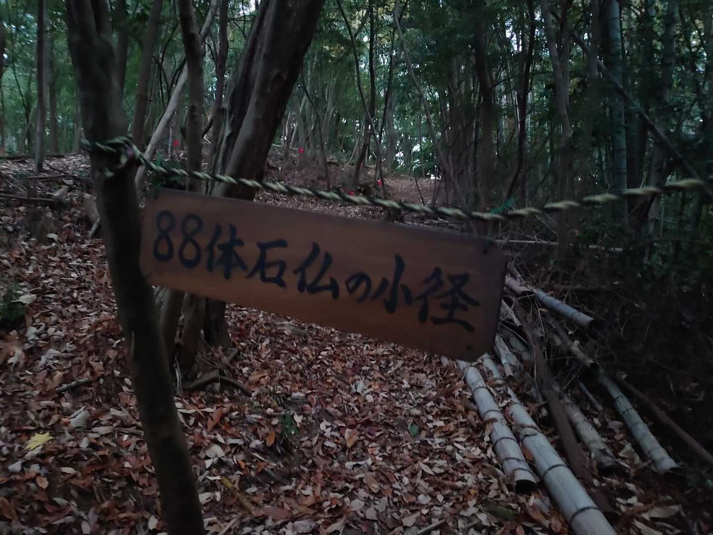 88体の石仏
日の出前の薄暗さではホラーなんでね、📸は後にします