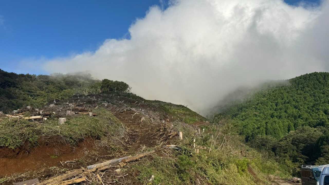 富士箱根トレイル（丸鉢山・金時山・長尾山） の写真 12