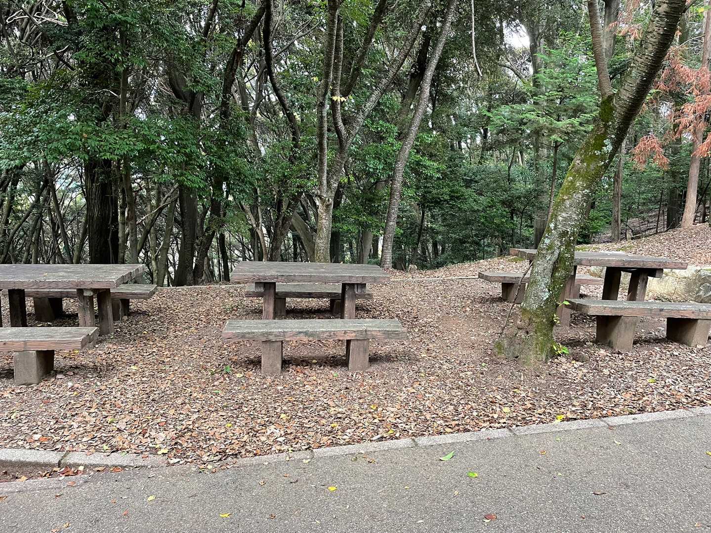 大吉山登り口-大吉山 往復コースの写真