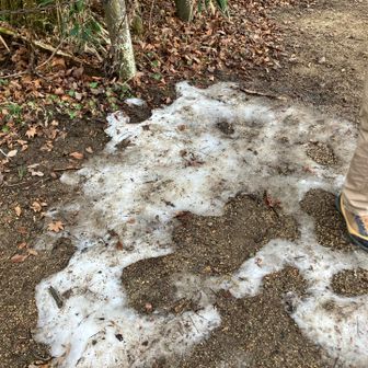 雪が少〜しだけ❄️