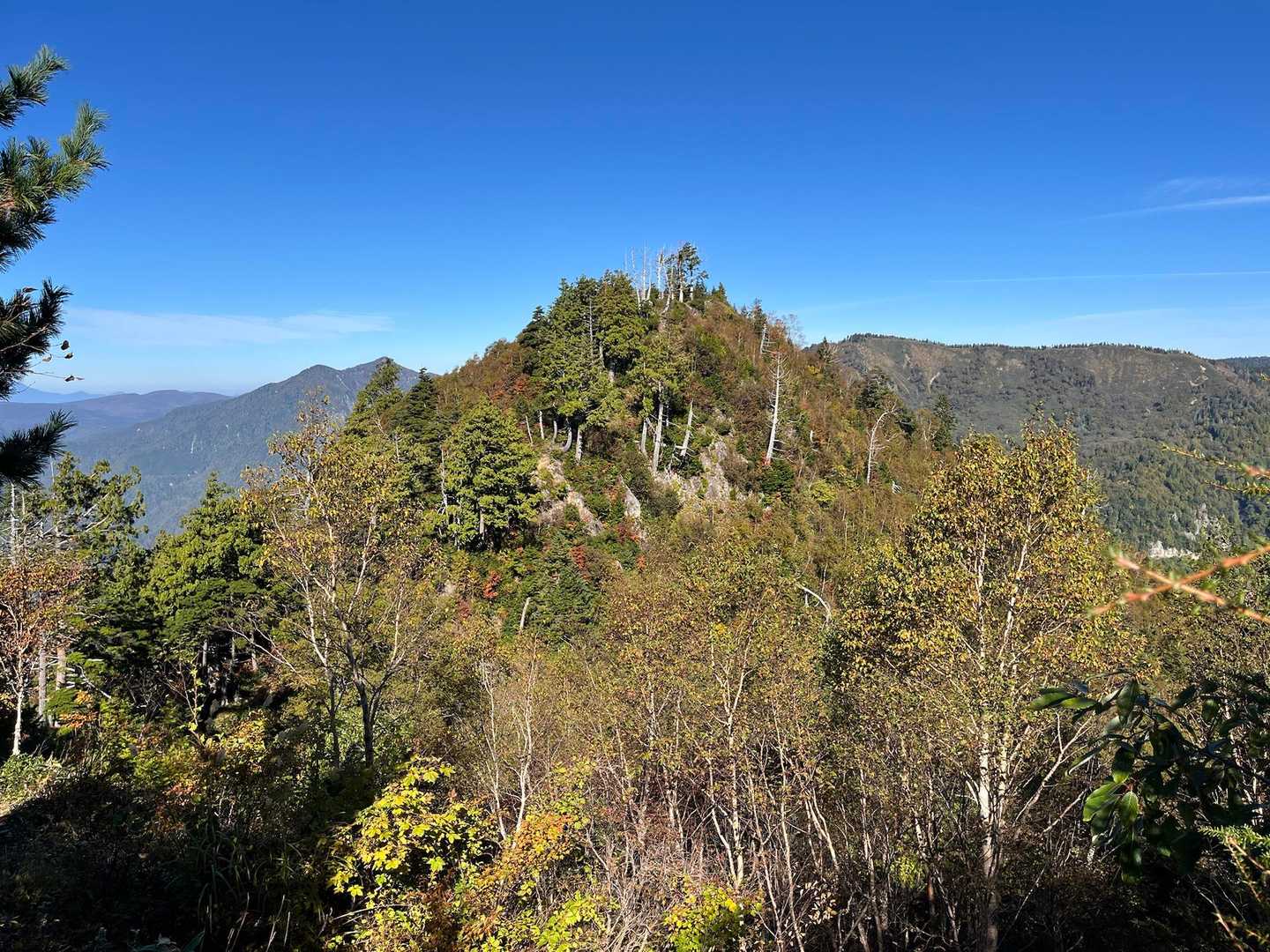 ワルサ峰が1番色付いてたかな🍁
