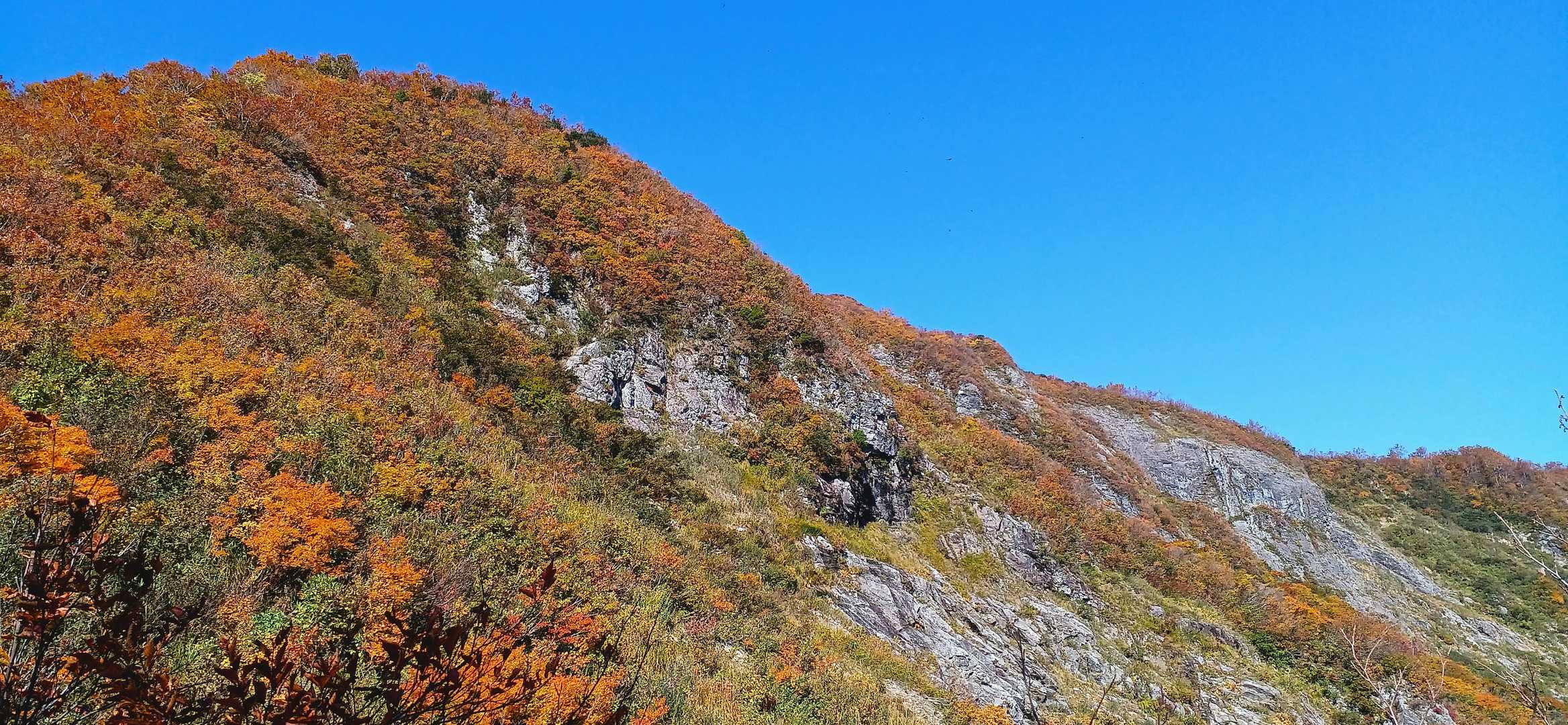 青空と紅葉のコントラストが最高‼️