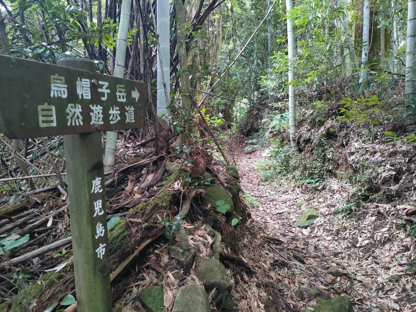 烏帽子嶽神社-烏帽子岳 往復コースの写真