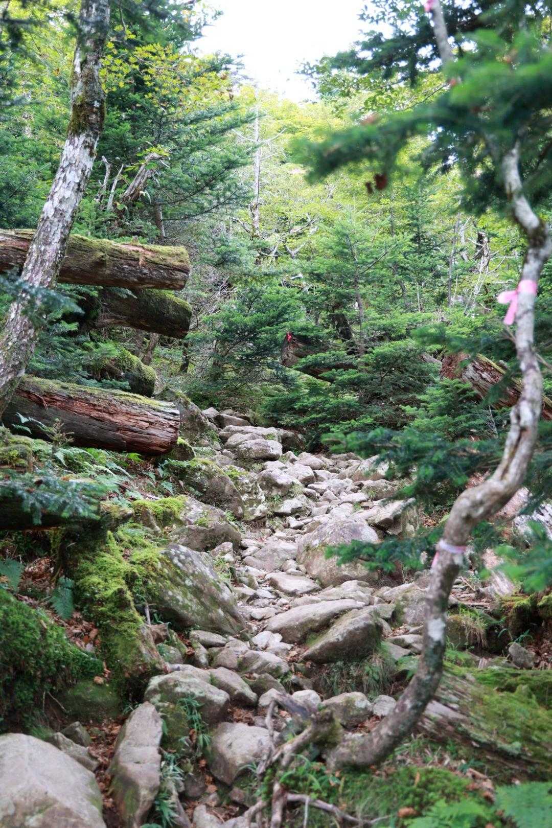 この辺りからまた荒々しくなってきた💪