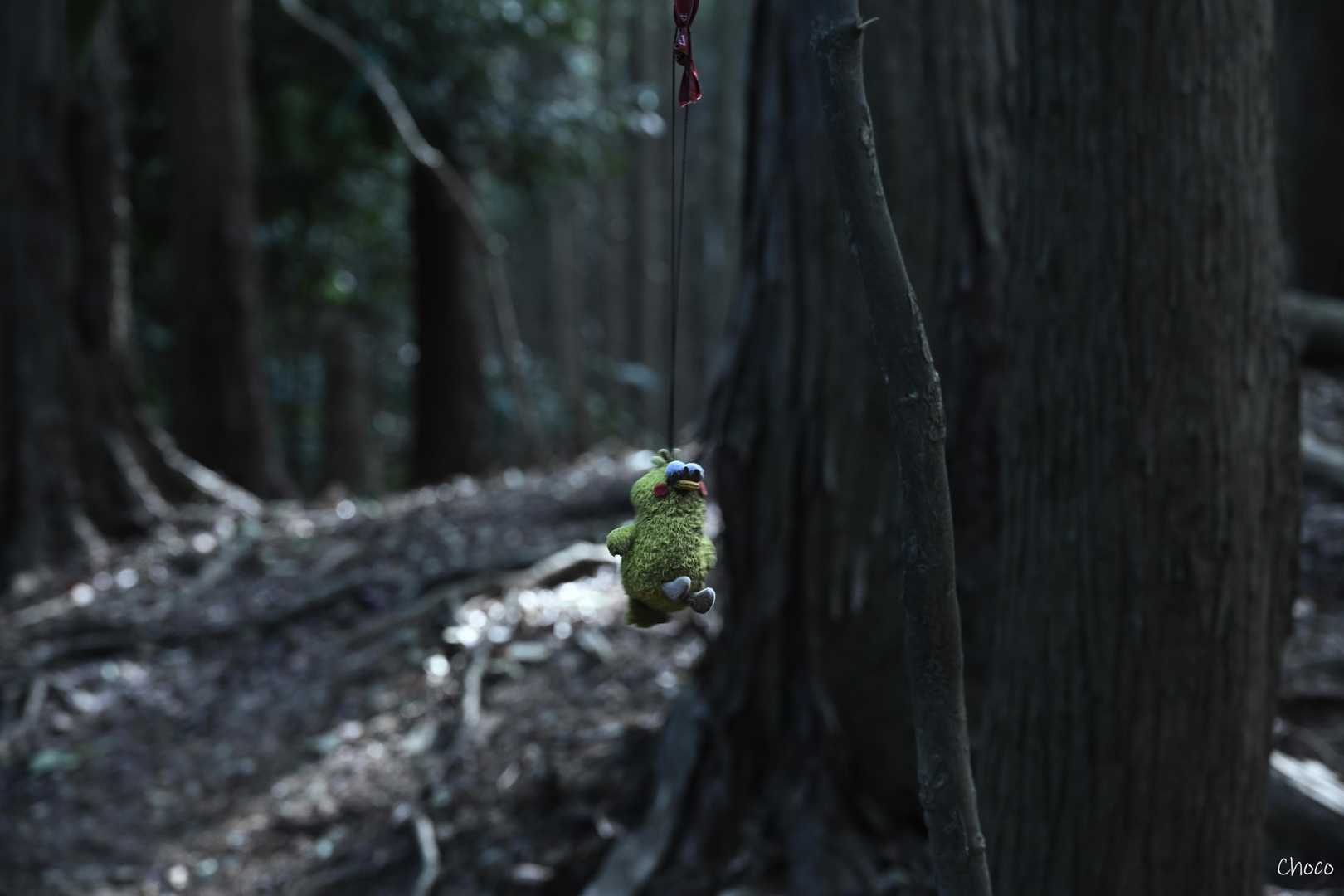 大目配登山口-大目配-薬王寺峠-京王山-鬼王山-妙見山 周回コースの写真