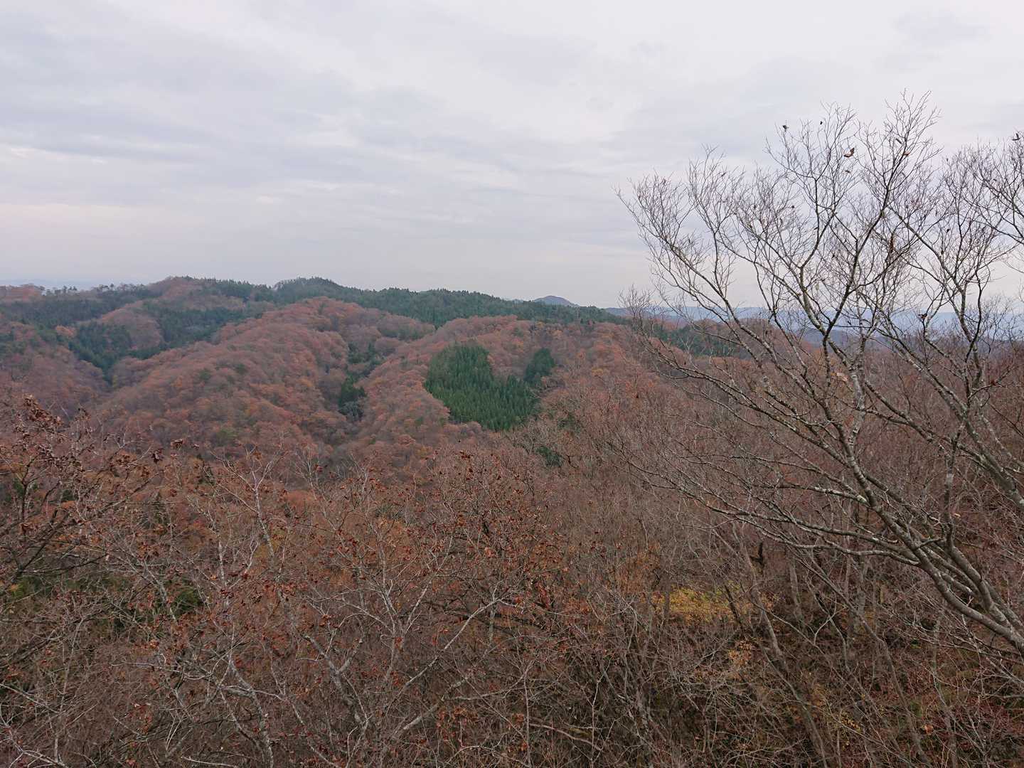 幸せになるシリーズ💚
キレイな心の人は、💚に見えます‼️