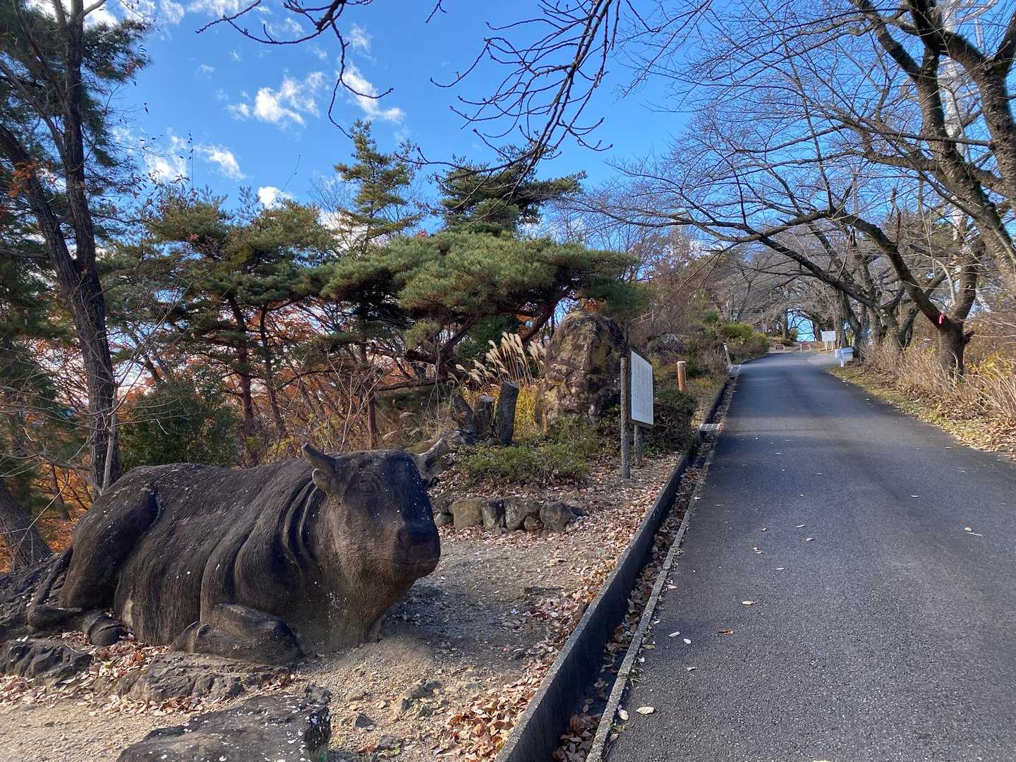 うし。皆さんの活動日記でよく見る牛！