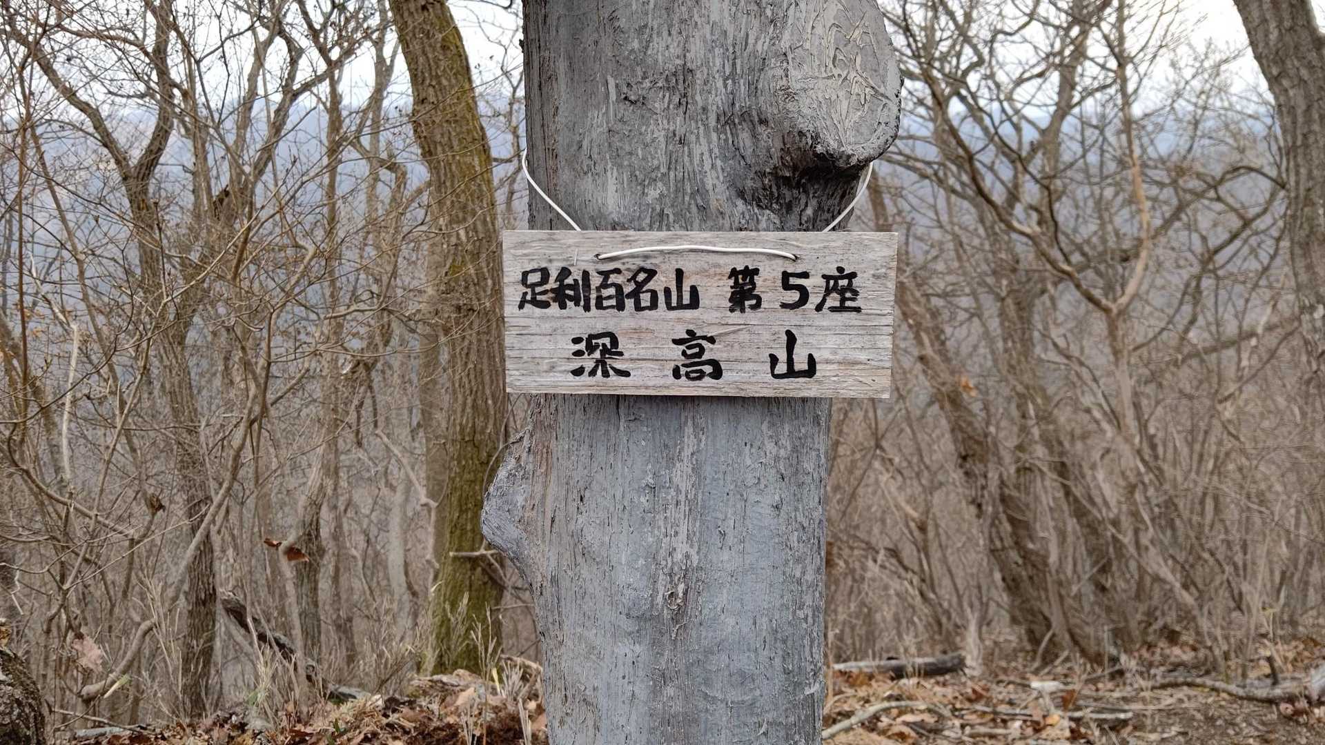 石尊神社奥宮-石尊山-深高山 往復コースの写真