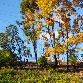 権現総合公園からは子供たちのはしゃぐ声が😚