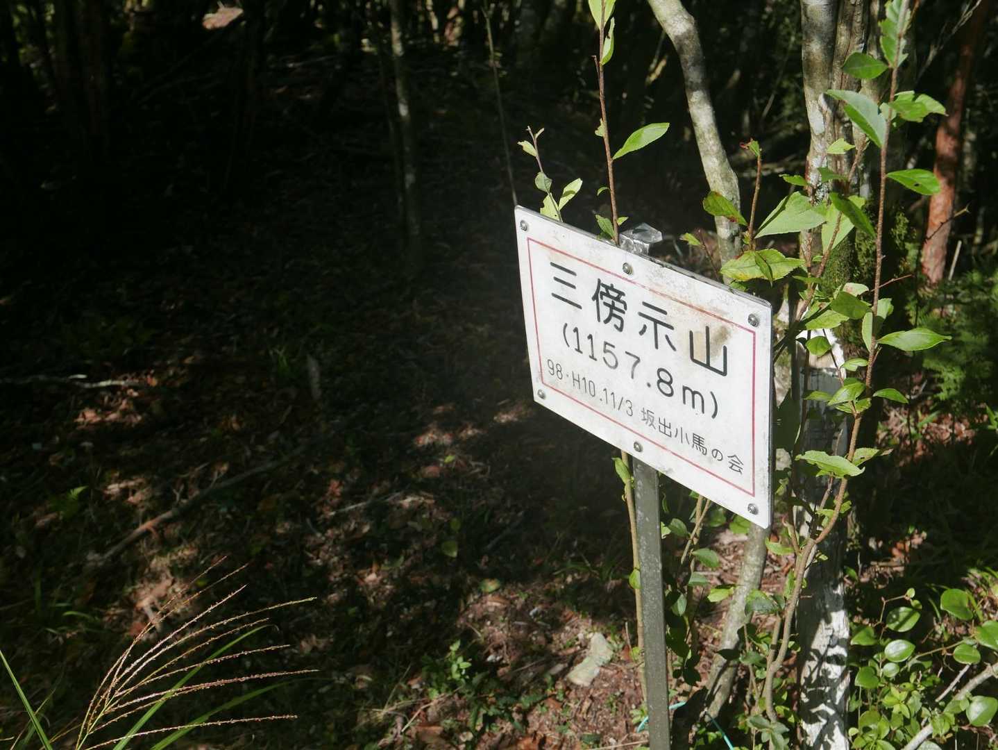 うえーい