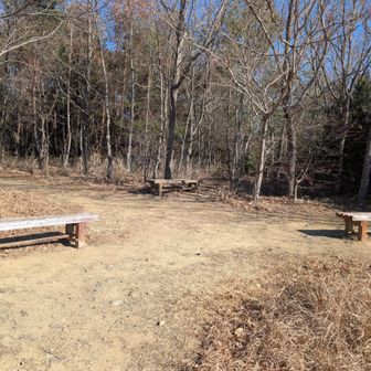 ここでのんびり休憩でも良いかも