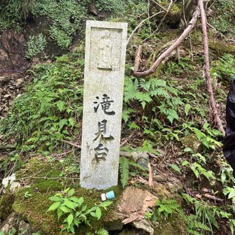 この石碑までしがみのぼる