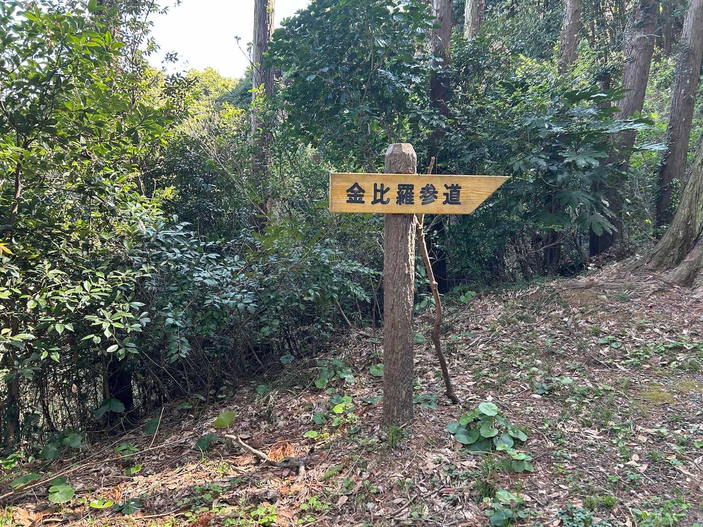 海老津駅-金比羅山 往復コースの写真