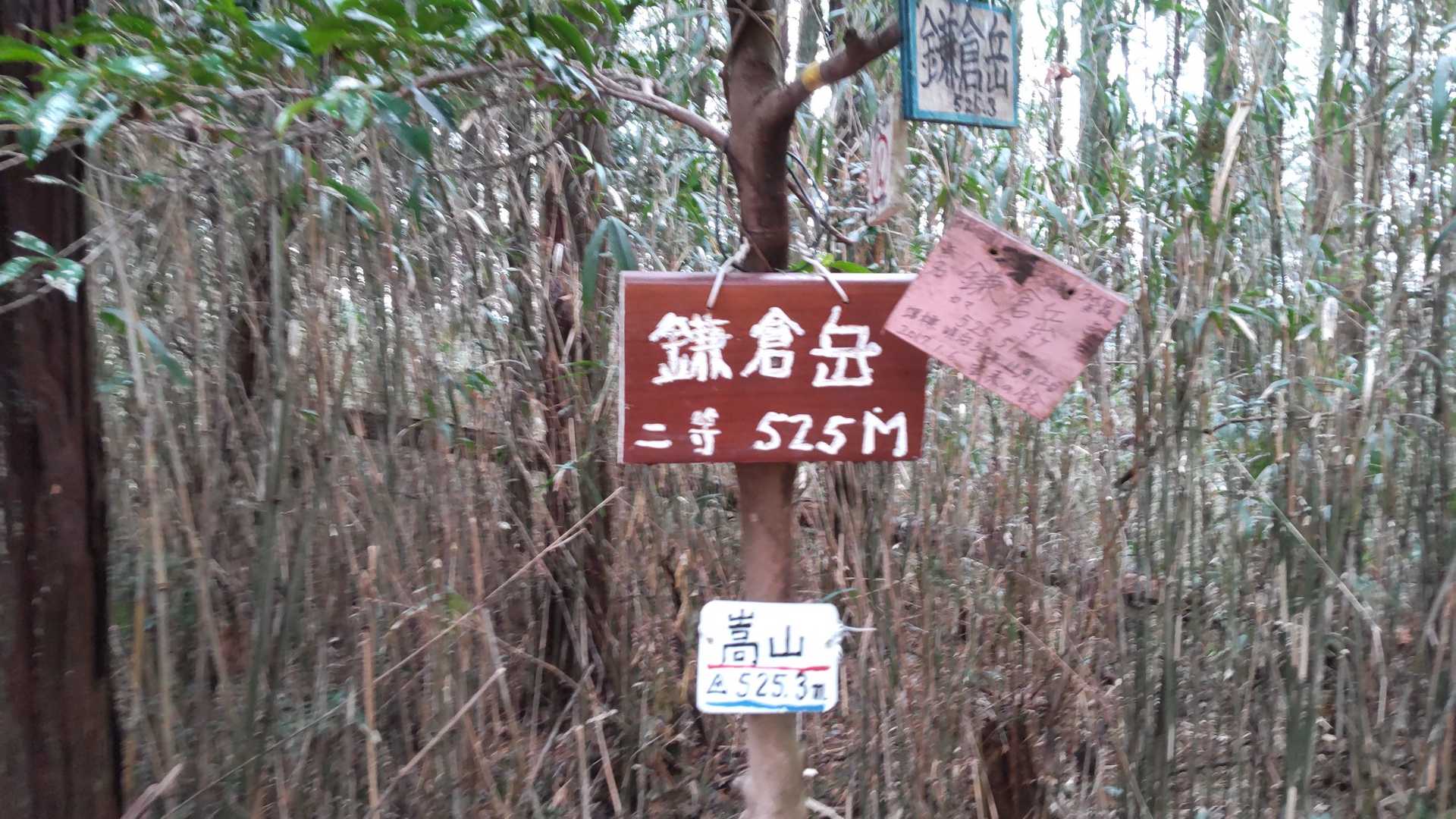 城山?嵩山?岳山?鎌倉岳?525m