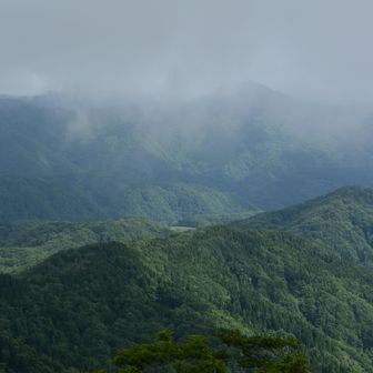 頂上から広留野高原の平地の一部が見えます
その奥の大きな山は陣鉢山
