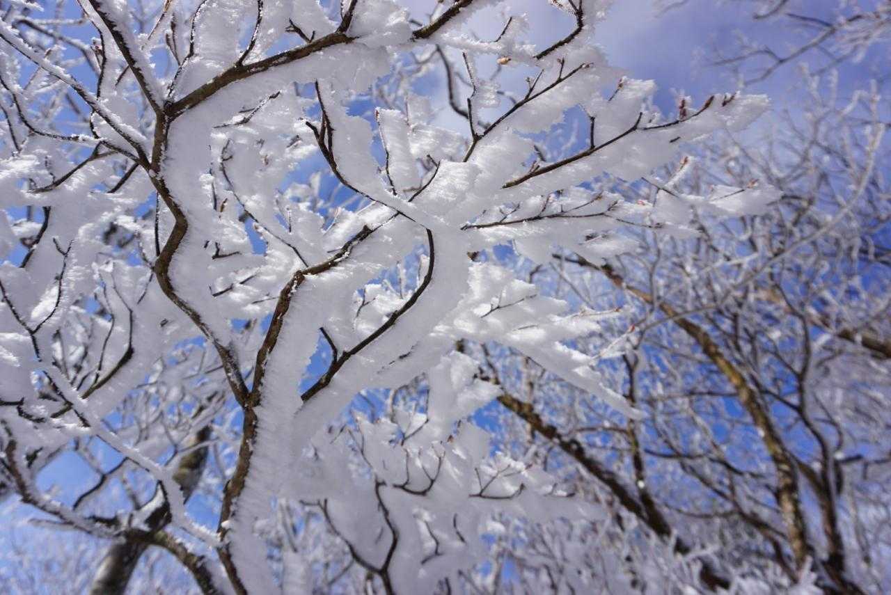 おおーー