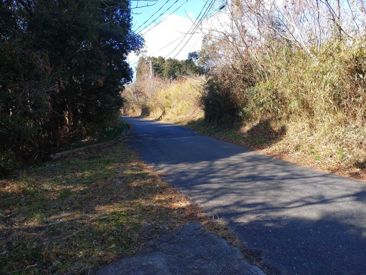 車道に出ました。