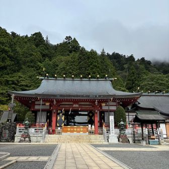 空いてます