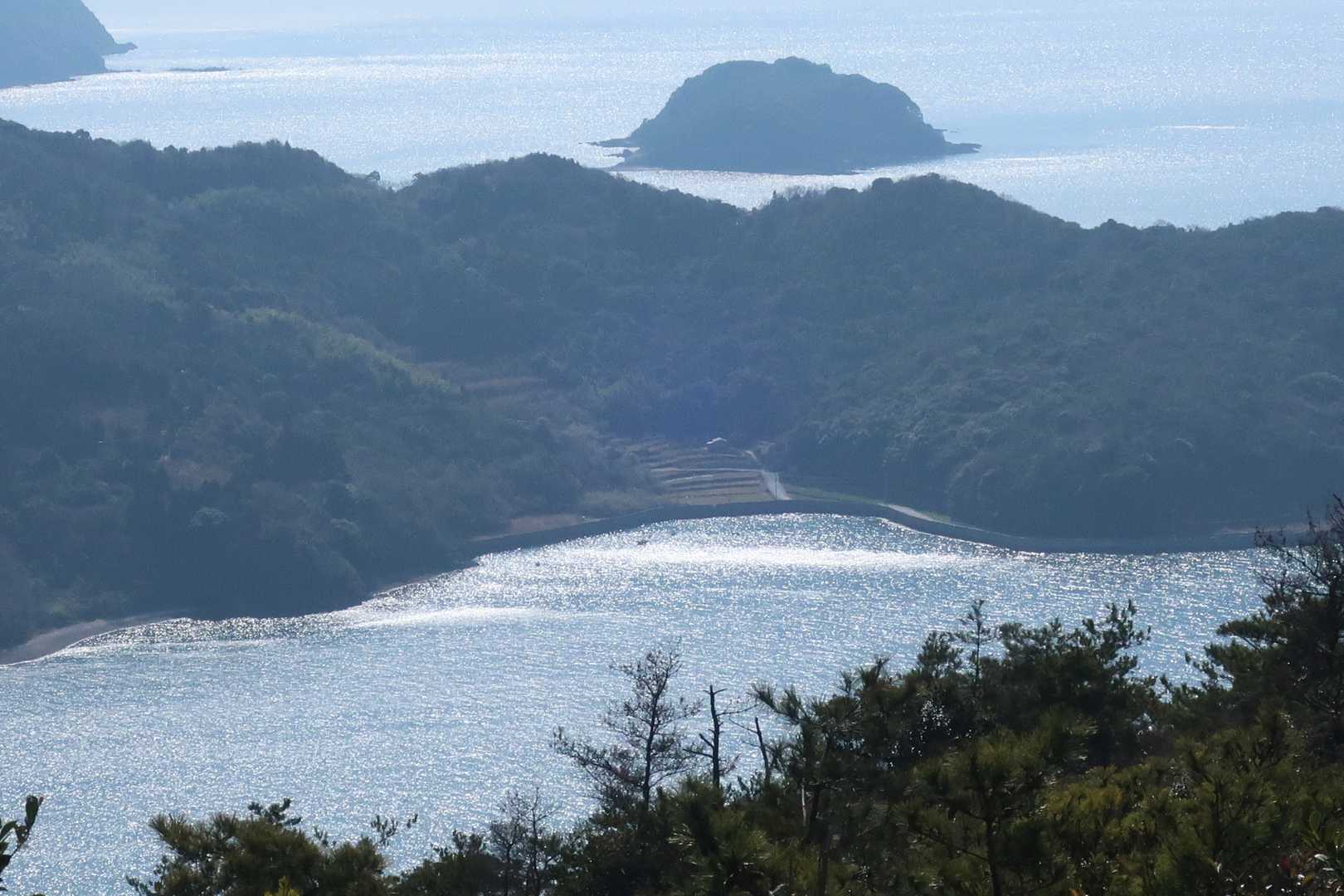 本浦干潟👀