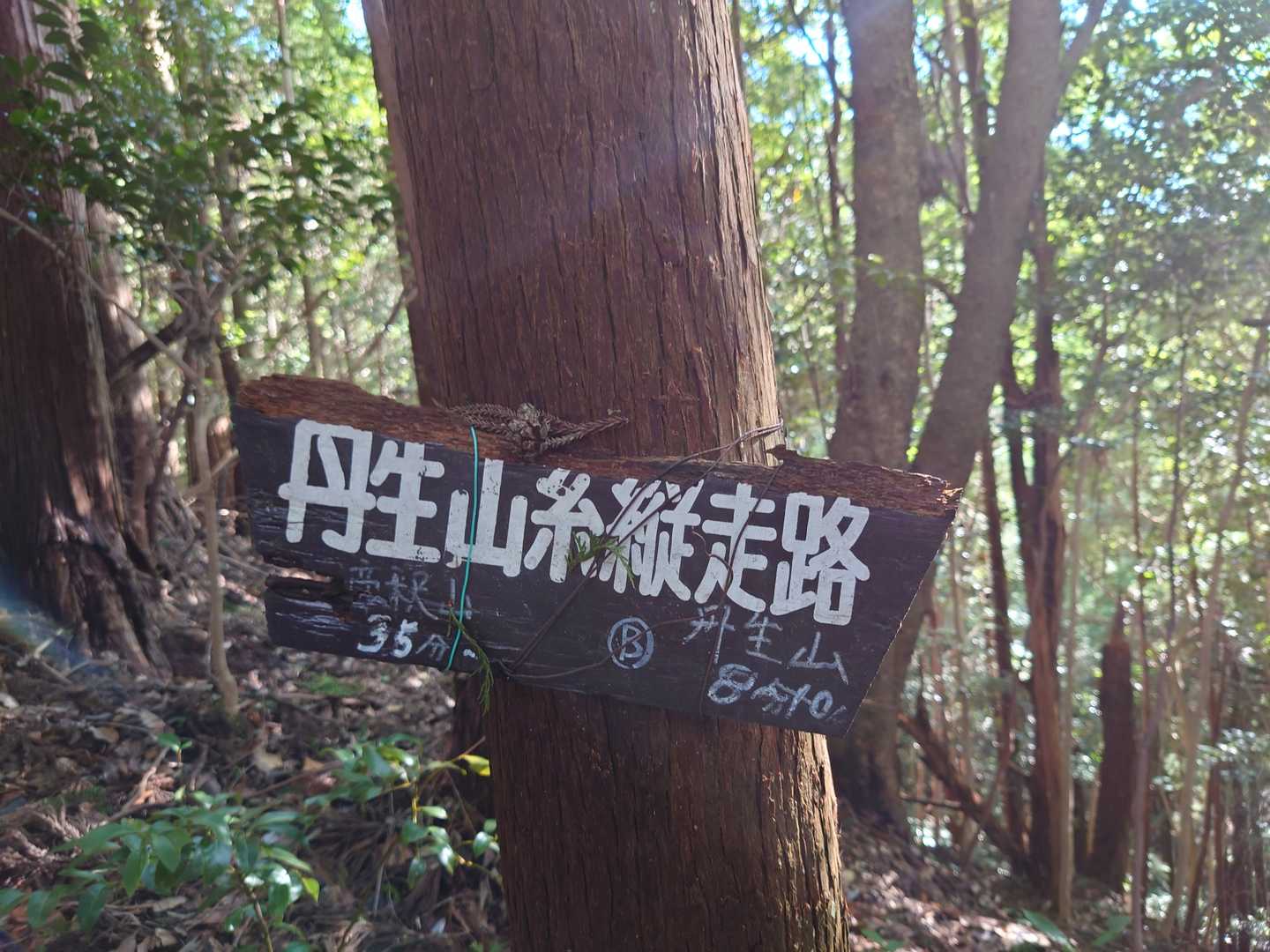 丹生神社-丹生山-帝釈山 周回コースの写真