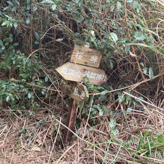 峠まできたー
ここからは浅間神社までハイキングコース