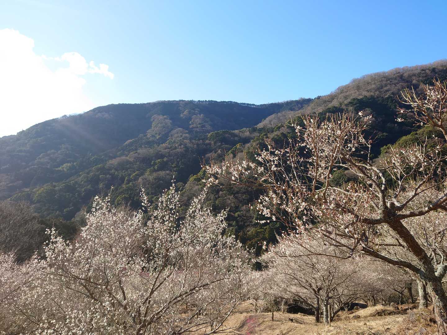 幕山登山口-幕山-南郷山 縦走コースの写真