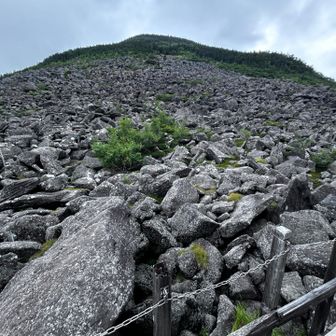 甲斐駒ヶ岳の仙水峠で見た光景