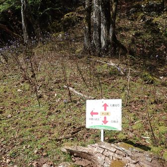 水上越し、左へ下ると球磨川源流です。