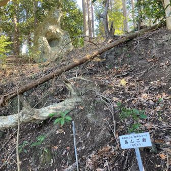 あんご岩を経て