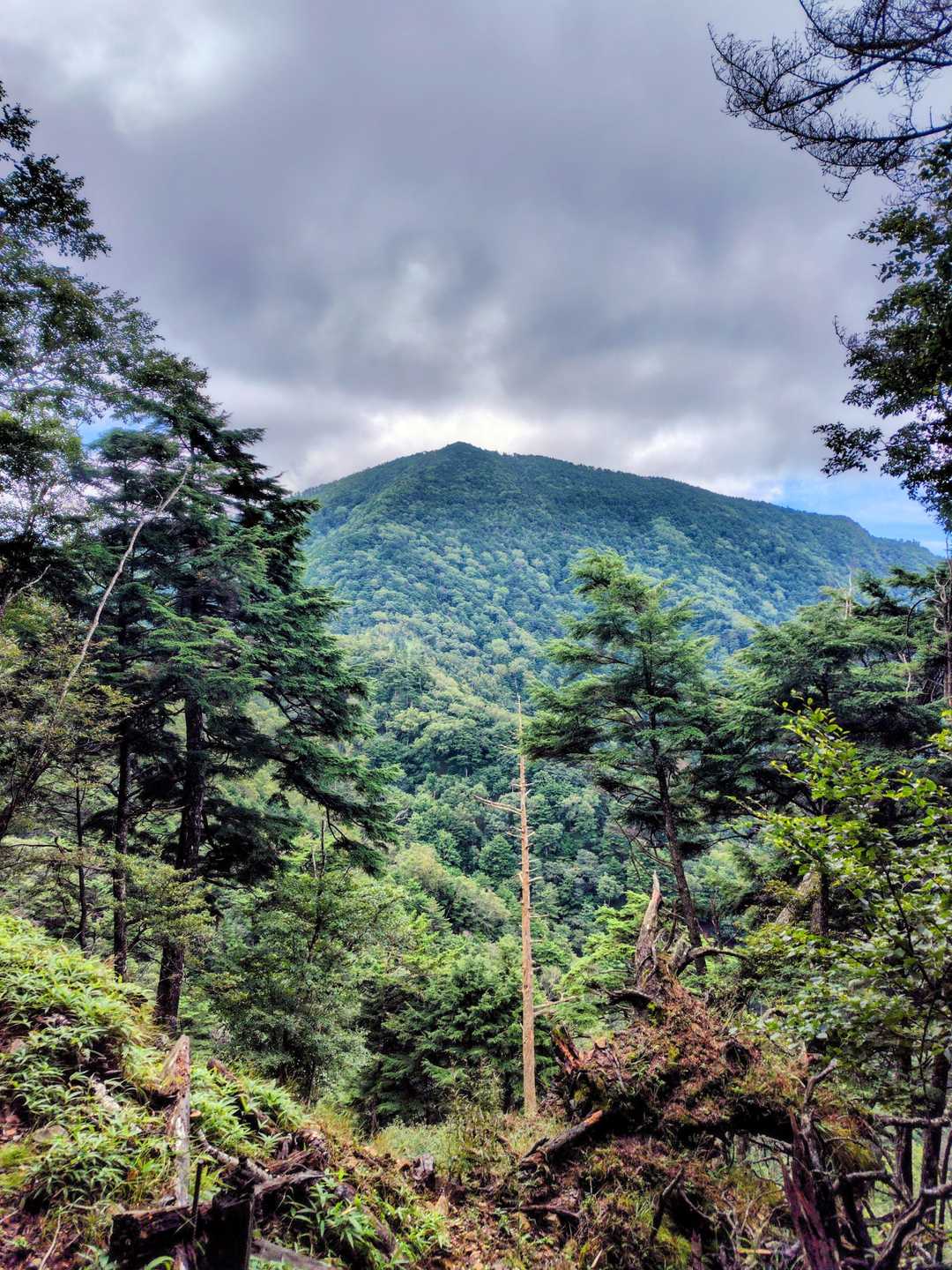 見えてきた、飛竜山😲