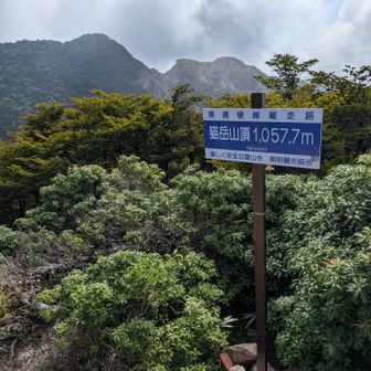 猫岳