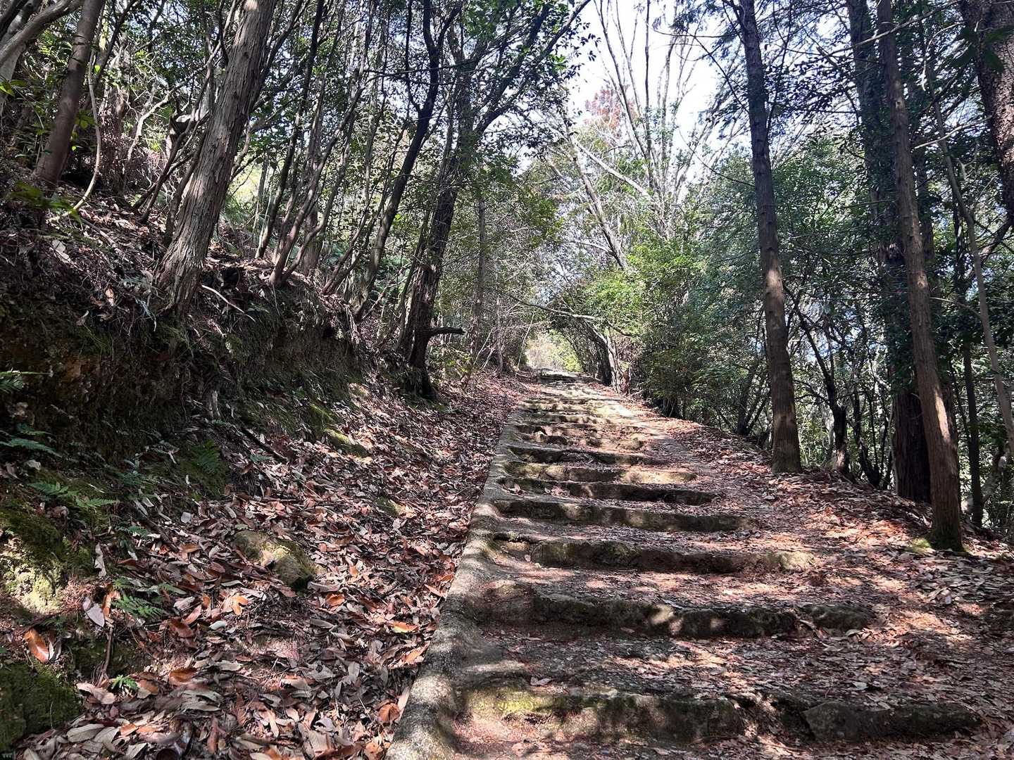 暑くも寒くもなくてお天気良くて
最高な日だったのに…