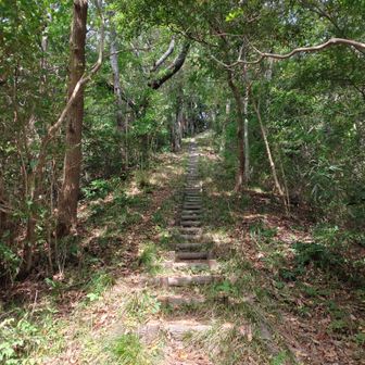 紅葉山の手前に長い急な階段