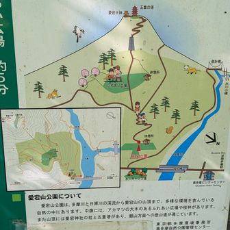 熊鈴忘れた